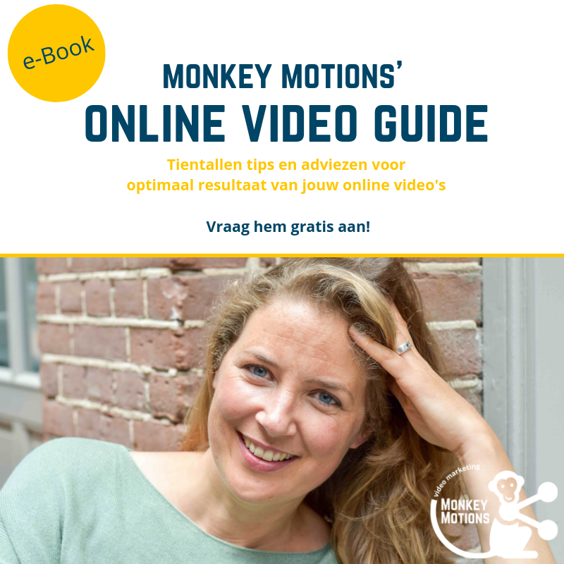 Online video guide